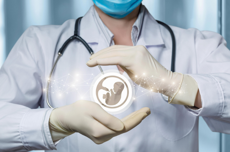 Fetal Medicine Scan